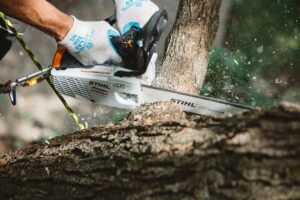 STIHL Baumpflegesäge MS 194 T, PM3, Schienenlänge 30cm – Bild 4