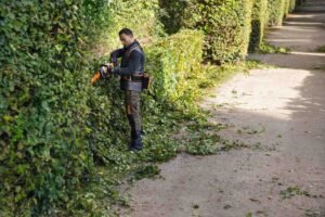 STIHL Akku-Heckenschere HSA 130 R, 60 cm ohne Akku und Ladegerät – Bild 5