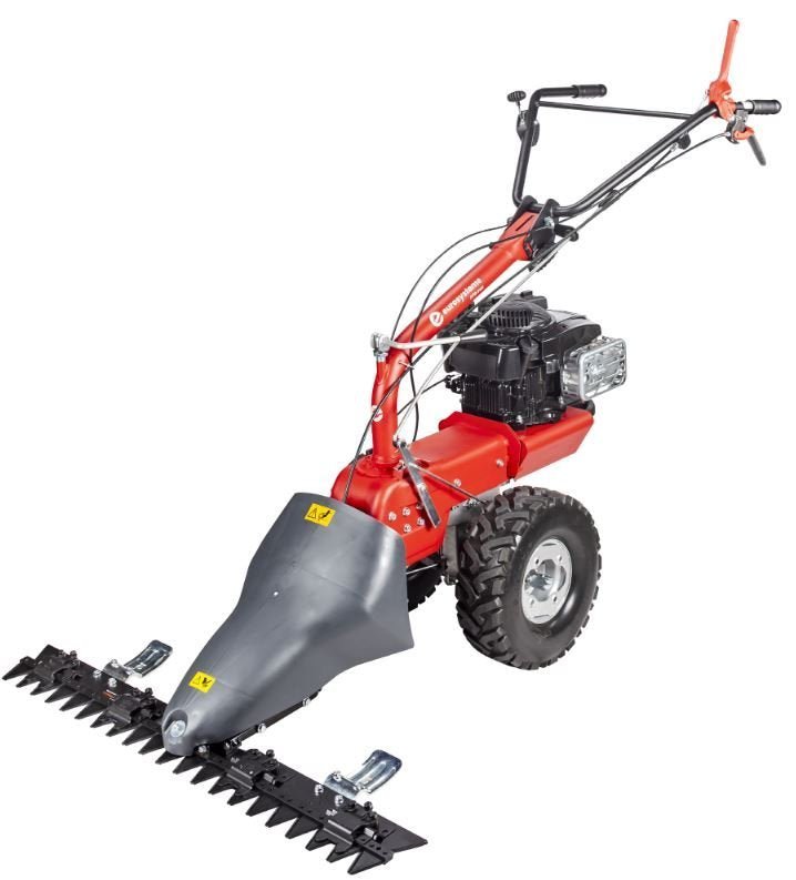 Eurosystems_M250_EVO_P70_EVO_mit_BS_950_Series.jpg Eurosystems Mehrzweckgerät P70evo M 250 EVO mit B&S 950 Series - Grundmaschine ohne Anbaugeräte – Bild 1