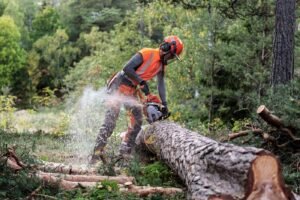 Husqvarna Profi Benzin Motorsäge 550 XP® G Mark II – Bild 6