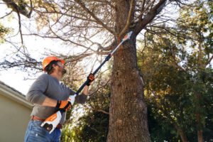 STIHL Akku-Hochentaster HTA 50 - ohne Akku und Ladegerät – Bild 3