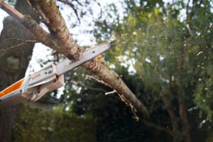 STIHL Akku-Hochentaster HTA 50 - ohne Akku und Ladegerät – Bild 4