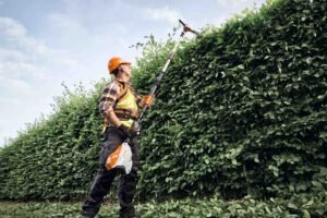 STIHL Akku-Heckenschneider HLA 150 B, Schnittlänge 60 cm – Bild 6