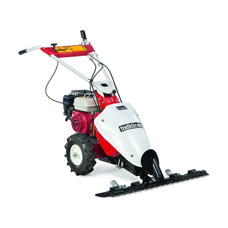 T60_2b1186c3-739a-4a9b-bb01-33c768691d09.jpg Tielbürger Balkenmäher t60 Honda GX160 – Bild 1