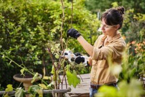STIHL Astsäge ASA 20, ohne Akku und Ladegerät – Bild 6